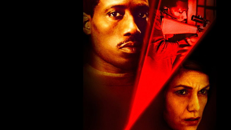 Liberty Stands Still still