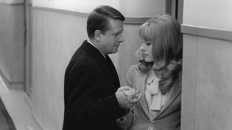 The Soft Skin still 3