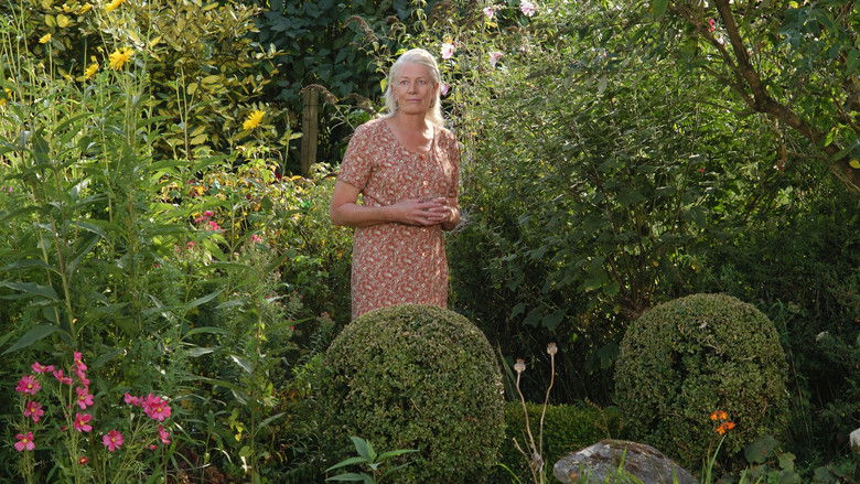 The Shell Seekers still