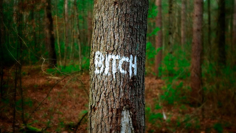 Backlash: Misogyny in the Digital Age still