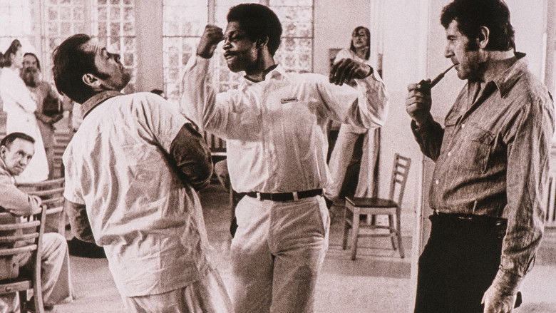 Forman vs. Forman still 3