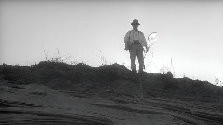 Woman in the Dunes still 4