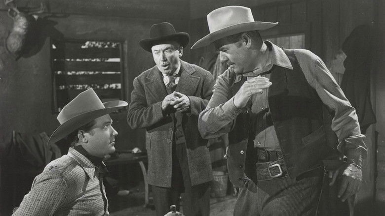 The Timber Trail still 1