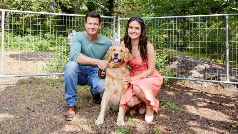 Love and Sunshine still