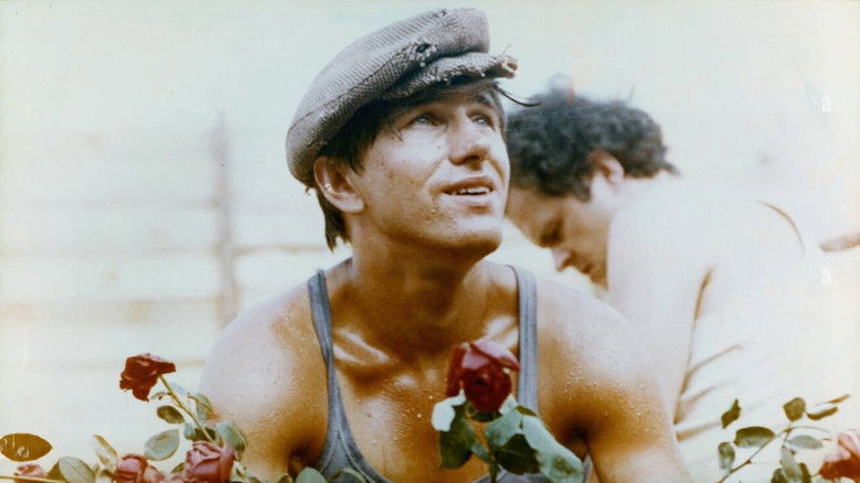 Man of Marble still 4