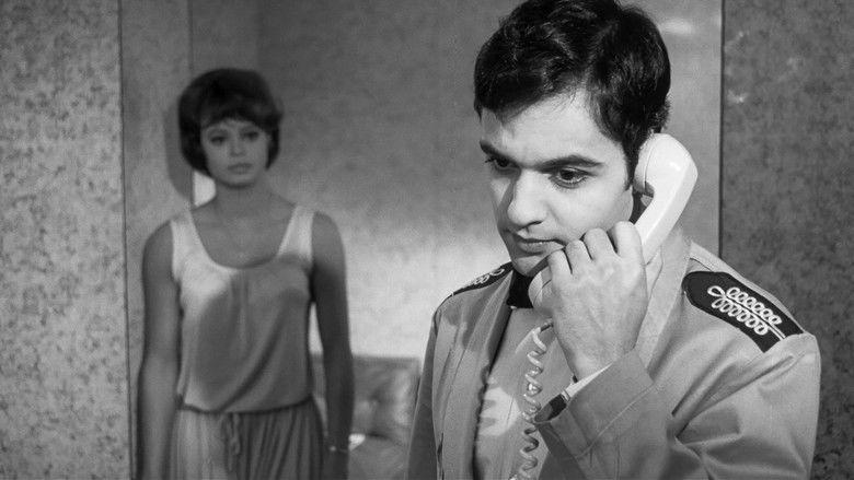 Who Killed Teddy Bear? still