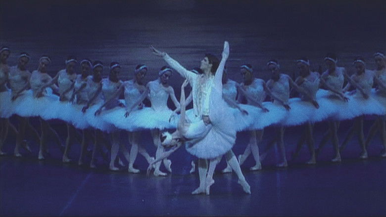 Tchaikovsky: Swan Lake still 1