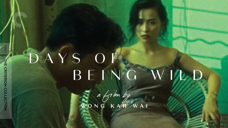 Days of Being Wild still