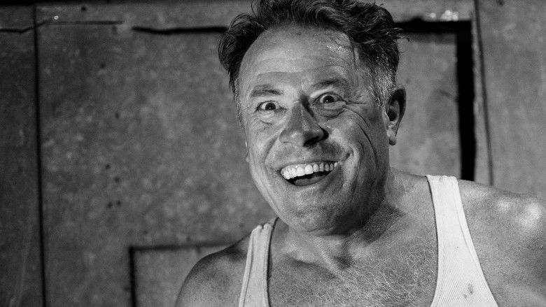 Friend of the World still 1