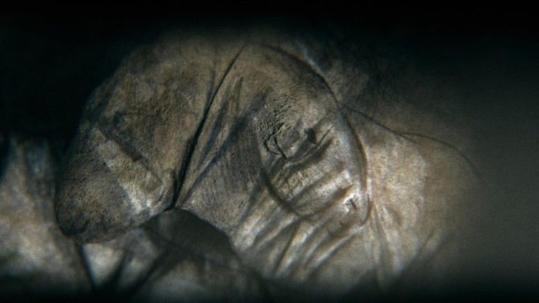 Camera obscura still