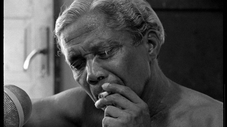 Nelson Cavaquinho still