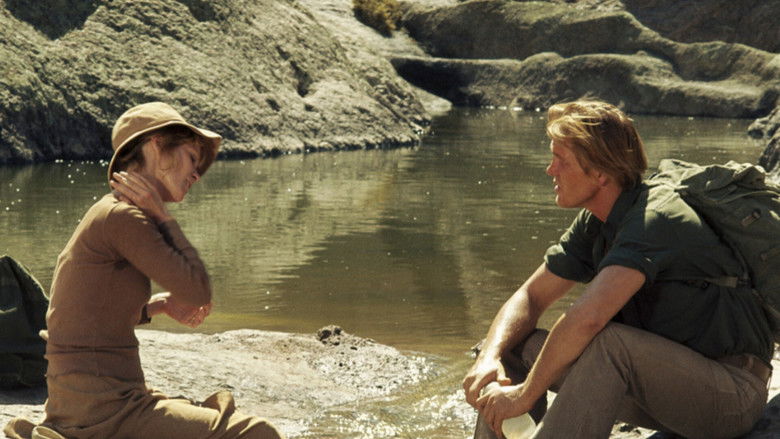 Who'll Stop the Rain still