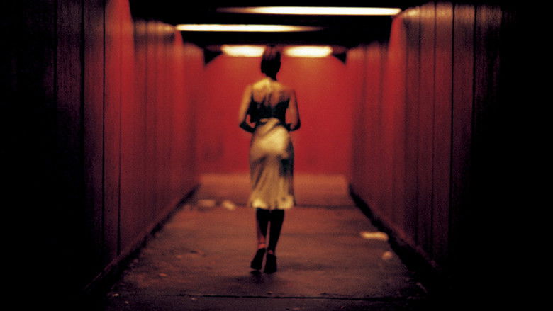 Irreversible still 4