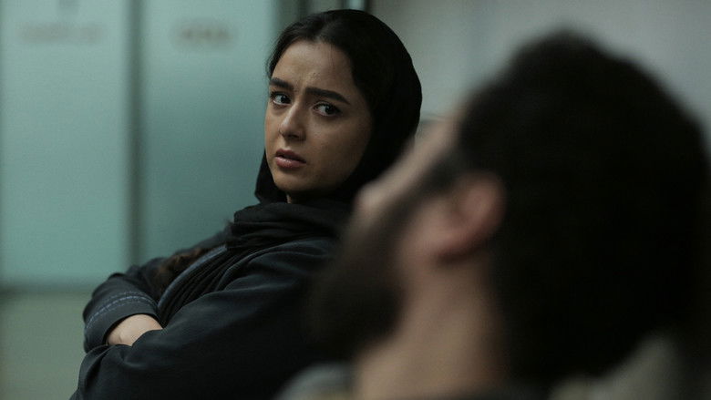 Leila's Brothers still