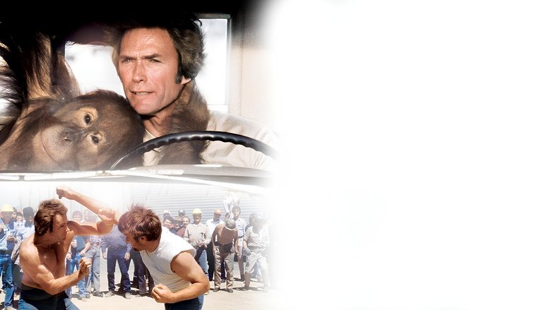 Every Which Way but Loose still 1