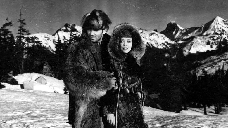 Call of the Wild still