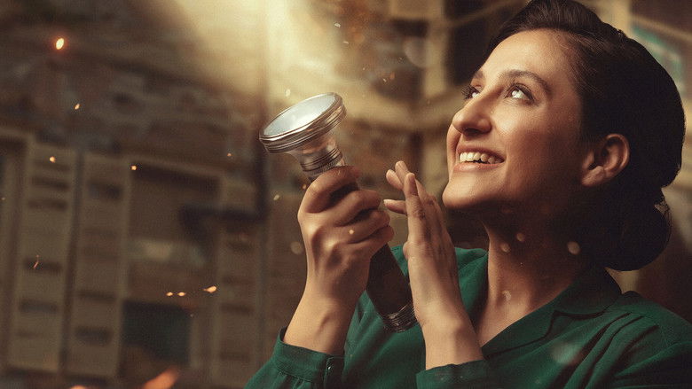 Have You Ever Seen Fireflies? still