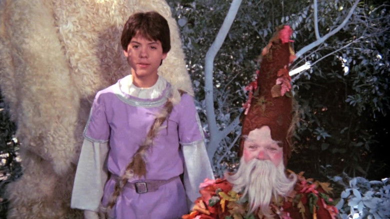 Wizards of the Lost Kingdom still