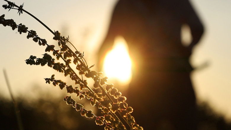 Garden of Eden still 1