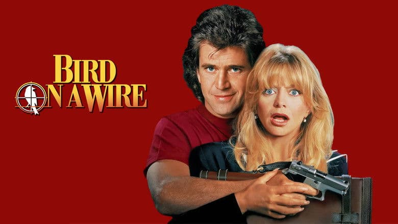 Bird on a Wire still 3