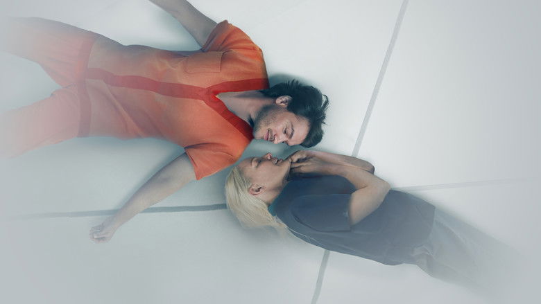 The Immaculate Room still