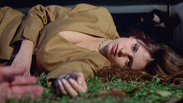 The Smile of the Fox still