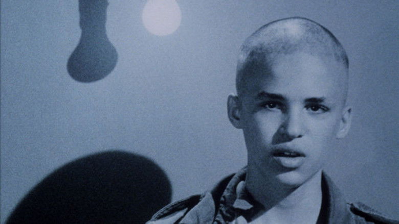 The Decline of Western Civilization still