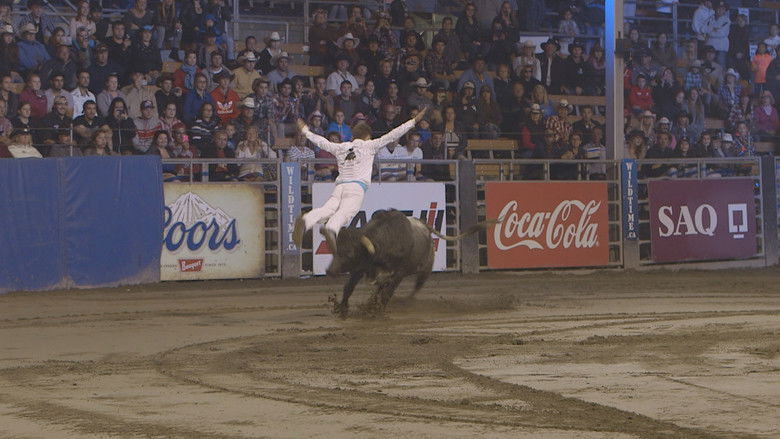 Bull Jumping still