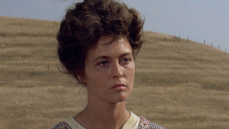 Oklahoma Crude still