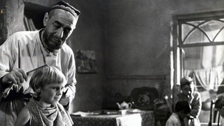 You Are Not an Orphan still 2