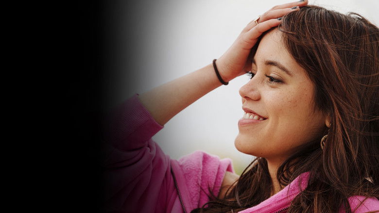 Winter Spring Summer or Fall still