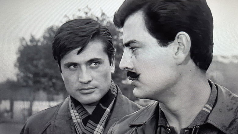 Birds of Exile still 3