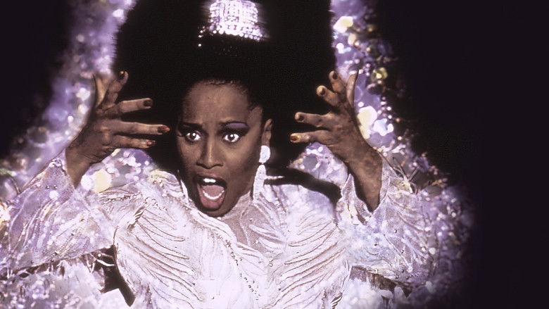 Jackie's Back! still