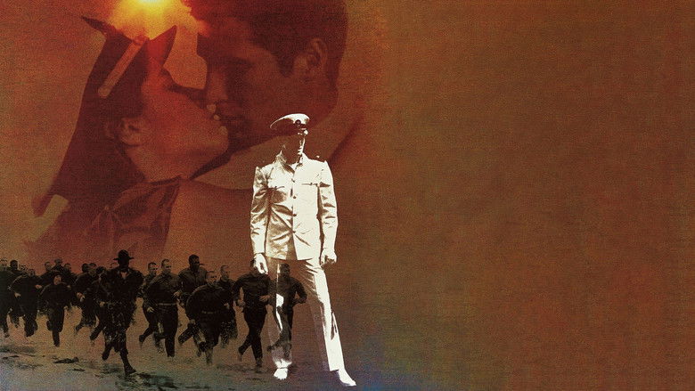 An Officer and a Gentleman still