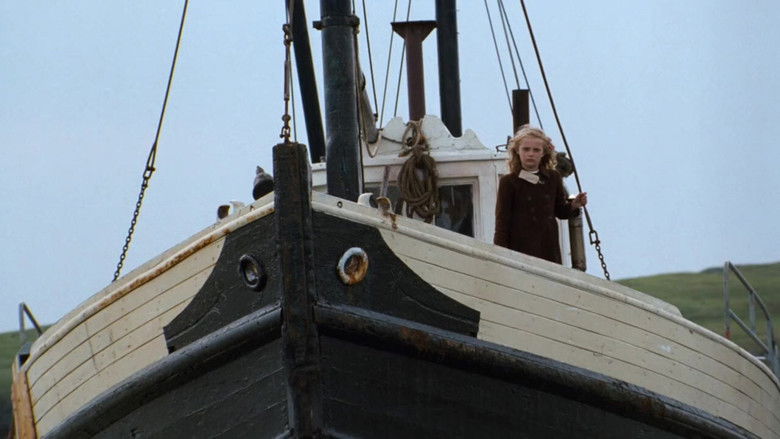 The Secret of Roan Inish still 3