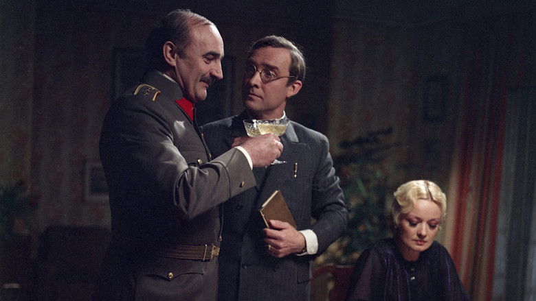 Můj nezdolný lev still 2