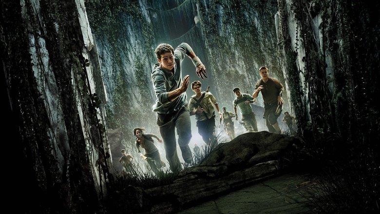 The Maze Runner still 2