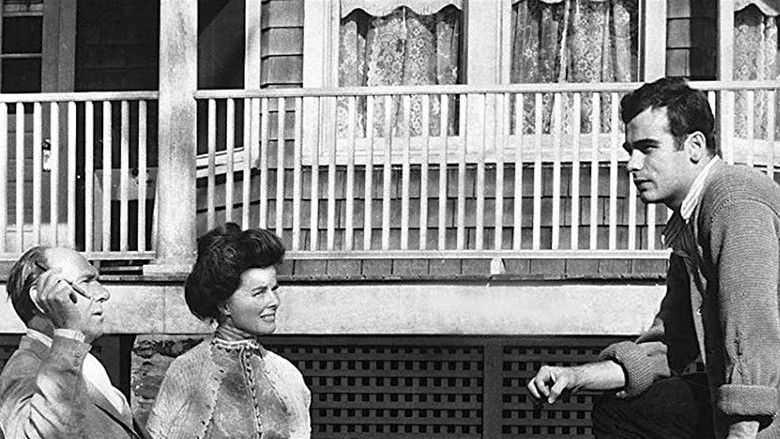 Long Day's Journey Into Night still