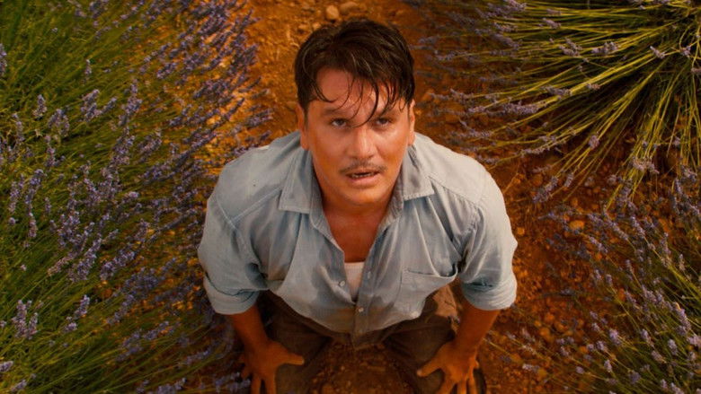 Valensole 1965 still