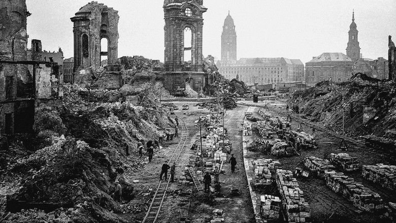 The Natural History of Destruction still