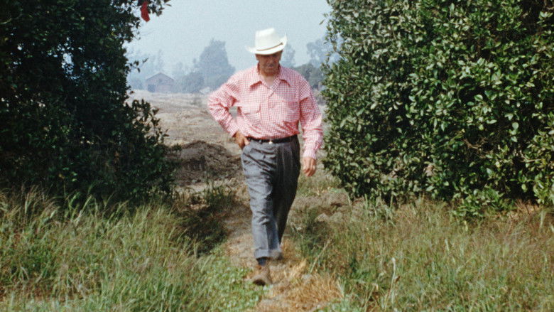 Disneyland Handcrafted still 1