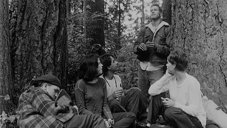 Drawing Flies still 4