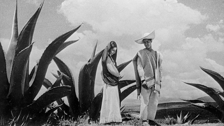 Time in the Sun still 1