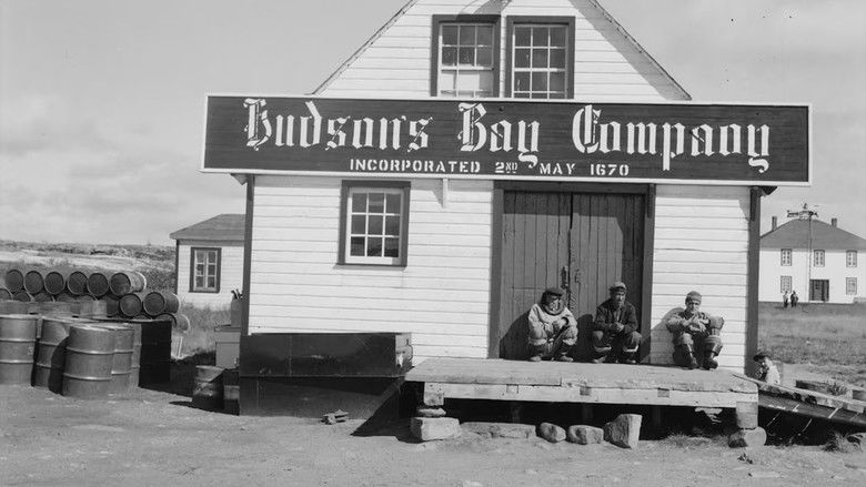 Hudson Bay(bies) still 1
