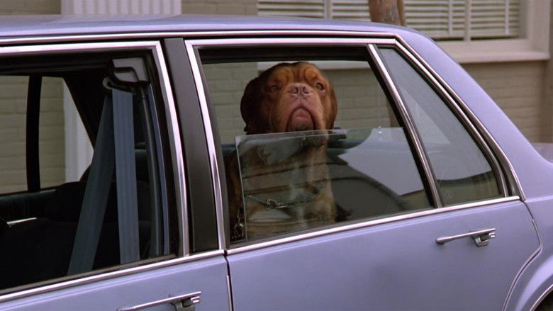 Turner & Hooch still