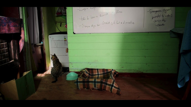 experimento de tiempo y Trufas still 1