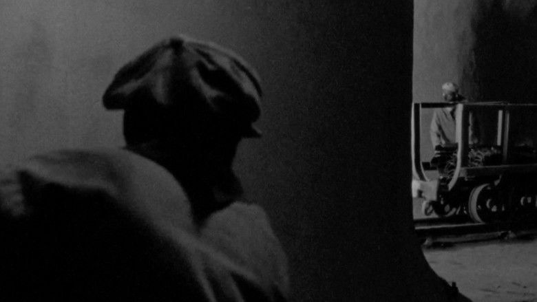 In Another Homeland still 1