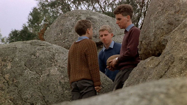 The Devil's Playground still