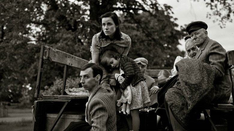 In the Crosswind still 1