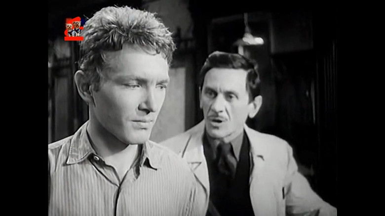 Saint Elizabeth Square